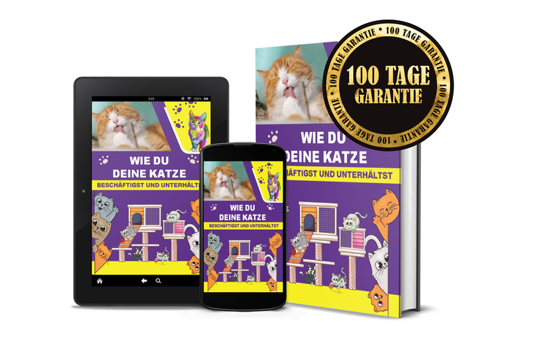 E-Book Katzenratgeber