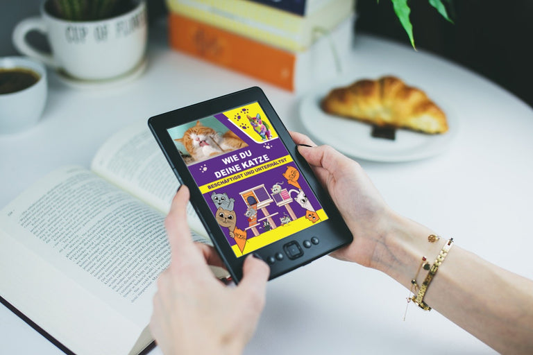 E-Book Katzenratgeber